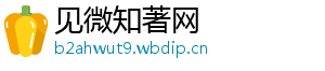 见微知著网